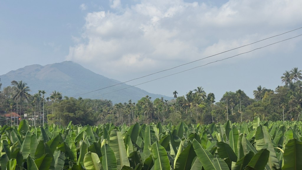 Starting a Home Stay in Wayanad –&nbsp;Kerala